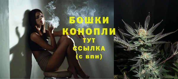 сатива Покров