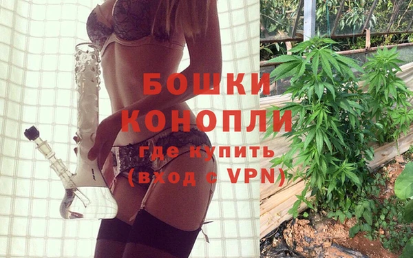 ПСИЛОЦИБИНОВЫЕ ГРИБЫ Белокуриха