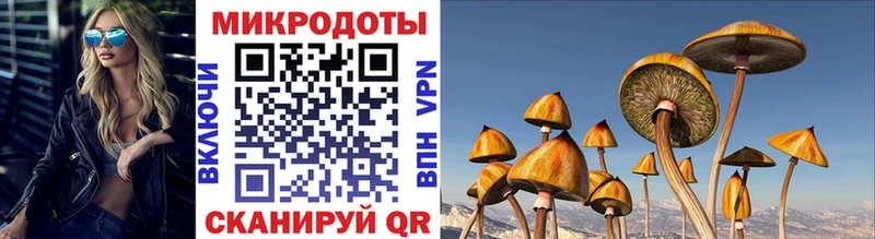 Галлюциногенные грибы Psilocybe  купить  сайты  Корсаков 